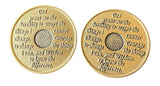 10 Month 11 Month Bronze AA Medallion Set of 2 Coins Serenity Prayer Chips