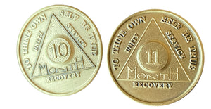 10 Month 11 Month Bronze AA Medallion Set of 2 Coins Serenity Prayer Chips