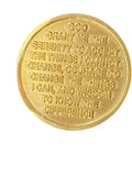 Lion Mountain Sunset One Day At A Time Medallion Serenity Prayer Chip