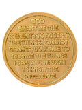 Planet Cosmic Universe Star Nebulous One Day At A Time Medallion Serenity Prayer Chip