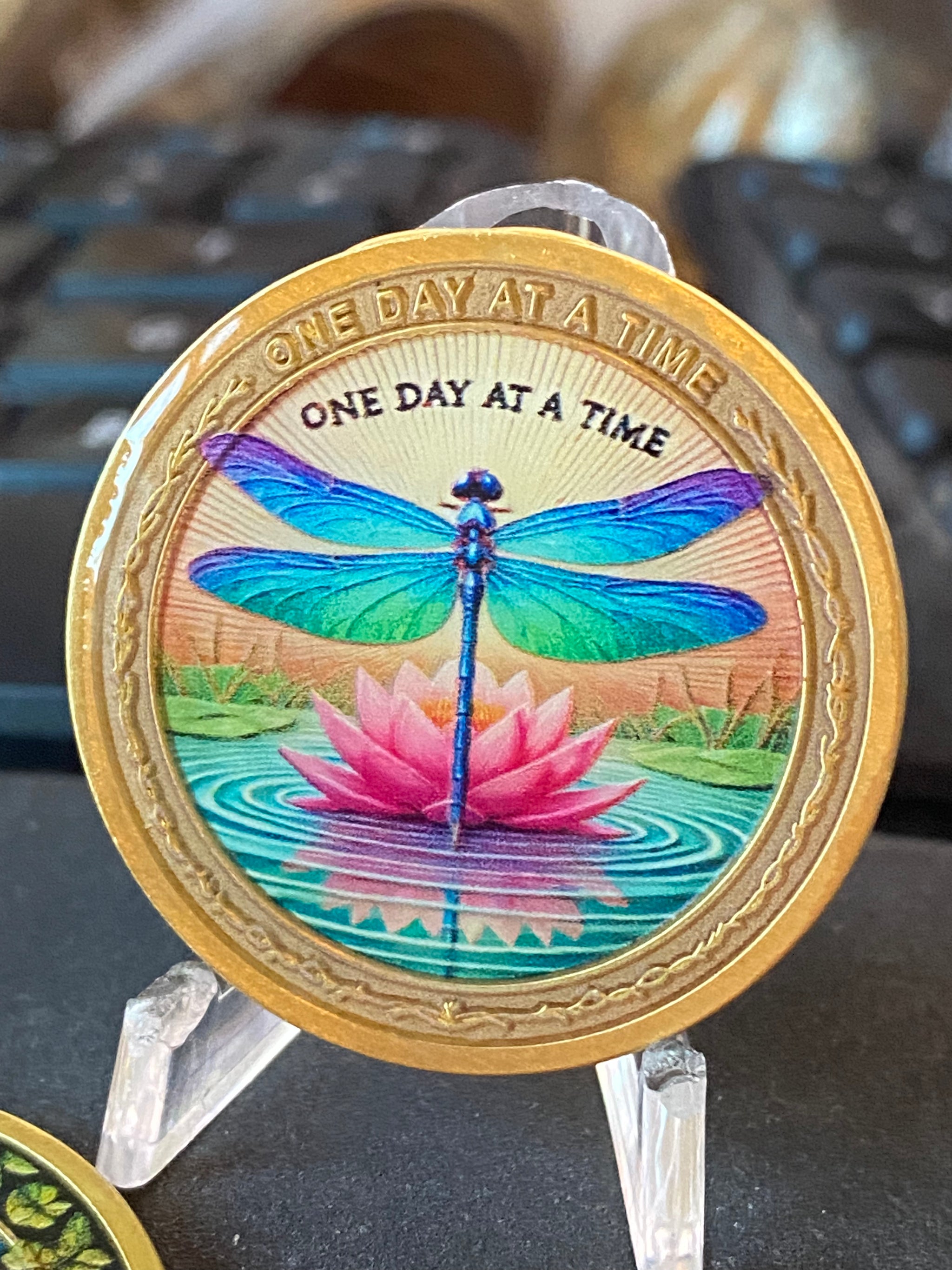 Dragonfly Pink Lotus Flower One Day At A Time Medallion Serenity