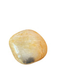 Tree of Life Engraved Inspirational Pocket Stone Carmel Natural River Polished Rock