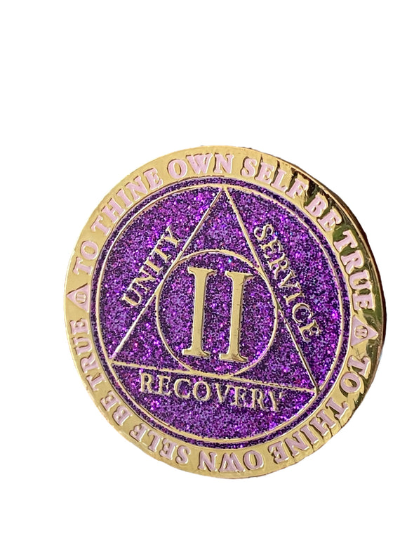 2 Year AA Medallion Violet Purple Glitter Gold Plated Sobriety Chip