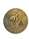 1 - 10 Year Seaturtle AA Medallion One Day At A Time Serenity Prayer Sea Turtle Sobriety Chip