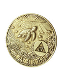 1 - 10 Year Seaturtle AA Medallion One Day At A Time Serenity Prayer Sea Turtle Sobriety Chip