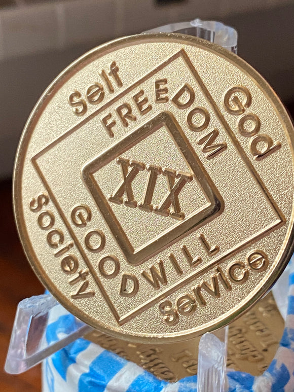19 Year NA Clean Time Chip Official Narcotics Anonymous Bronze Medallion