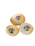 Tree of Life Engraved Inspirational Pocket Stone Carmel Natural River Polished Rock