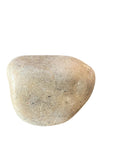 Tree of Life Engraved Inspirational Gray Pocket Stone Natural River Polished Rock