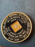 22 Year NA Clean Time Chip Orange Black Sobriety Medallion Official Narcotics Anonymous Coin