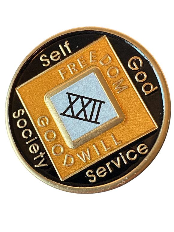 22 Year NA Clean Time Chip Orange Black Sobriety Medallion Official Narcotics Anonymous Coin