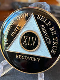 45 Year AA Medallion Glossy Black Tri-Plate Sobriety Chip Serenity Prayer Back