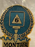 6 Month AA Lapel Pin Blue Color Sobriety Gift