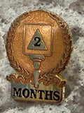 2 Months AA Lapel Pin 60 Days Sobriety Gift