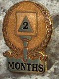 2 Months AA Lapel Pin 60 Days Sobriety Gift