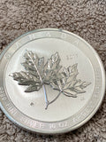 2021 10 oz Canadian Silver Magnificent Maple Leaf Coin (BU)