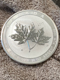 2021 10 oz Canadian Silver Magnificent Maple Leaf Coin (BU)