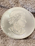 2021 10 oz Canadian Silver Magnificent Maple Leaf Coin (BU)