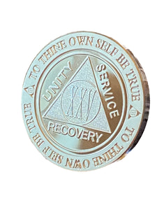 25 Year AA Medallion .999 Fine Silver 1 oz Sobriety Chip Serenity Prayer Back Elegant Design