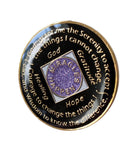 1 - 45 Year NA Tri-Plate Clean Time Chip Purple Lavender Glitter Medallion