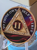 2 Year AA Medallion Purple Red Swirl Tri-Plate Sobriety Chip Serenity Prayer Back