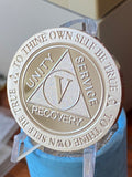 5 Year AA Medallion .999 Fine Silver 1 oz Sobriety Chip Serenity Prayer Back