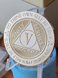 5 Year AA Medallion .999 Fine Silver 1 oz Sobriety Chip Serenity Prayer Back