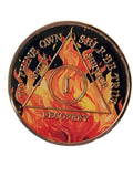 1 Year AA Medallion Flame Design Sobriety Chip Black Orange Serenity Prayer Back