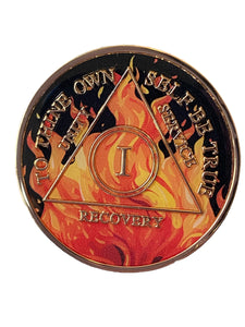 1 Year AA Medallion Flame Design Sobriety Chip Black Orange Serenity Prayer Back