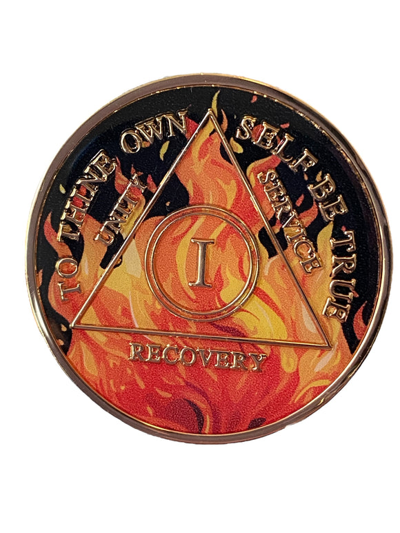 1 Year AA Medallion Flame Design Sobriety Chip Black Orange Serenity Prayer Back