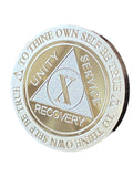 10 Year AA Medallion 1 oz Fine Silver Sobriety Chip Serenity Prayer Back .999 Pure