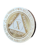 10 Year AA Medallion 1 oz Fine Silver Sobriety Chip Serenity Prayer Back .999 Pure