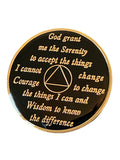 10 Year AA Medallion Skull Design Black Sobriety Chip Serenity Prayer Back