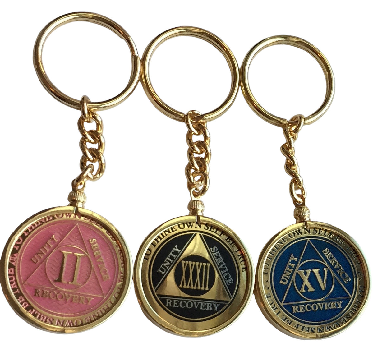 40mm AA Medallion Keychain - Tri-Plate Chip/Coin/Token Holder - Silver — AA  Medallion Store