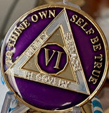 6 Year AA Medallion Metallic Purple Tri-Plate Sobriety Chip Serenity Prayer Coin