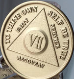 7 Year AA Medallion Bronze Wendells Sobriety Chip