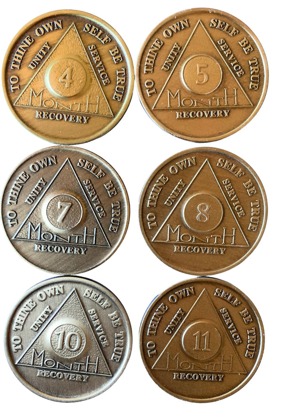 Set of 6 AA Middle Month Chips Month 4 5 7 8 10 and 11 Sobriety Chip Set