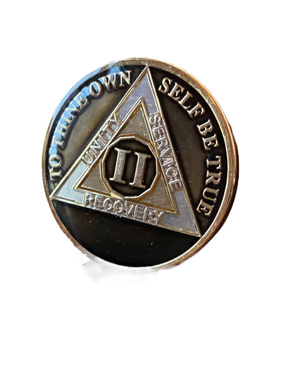 2 Year AA Medallion Translucent Black Tri-Plate Sobriety Chip