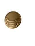 17 Year AA Medallion Premium Bronze Sobriety Chip Lion Back