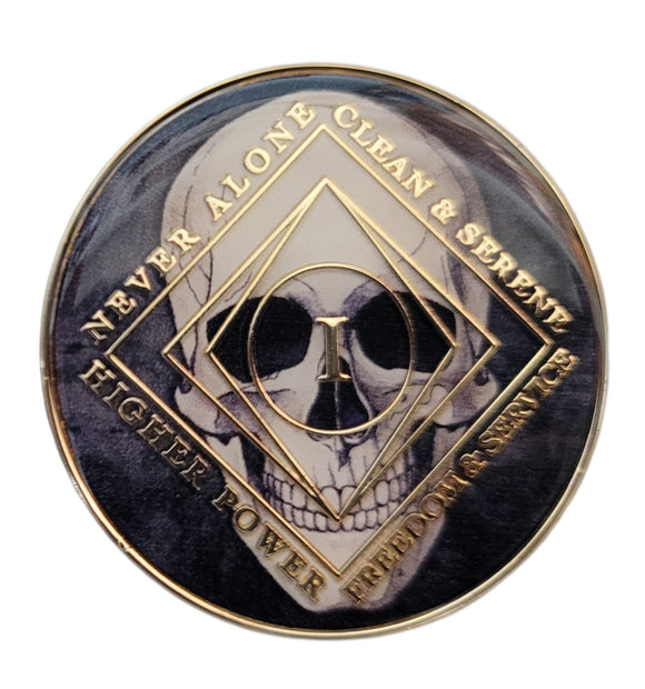 1 - 20 Year NA Clean Time Medallion Skull Design Black Sobriety Chip
