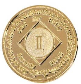 1 - 45 Year NA Gold Plated Medallion