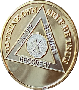 10 Year AA Medallion 1.5" Large Challenge Coin Premium 22k Gold Plated Sobriety Chip