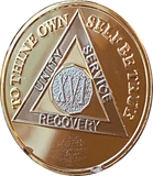 16 Year AA Medallion 1.5" Large Challenge Coin Premium 22k Gold Plated Sobriety Chip