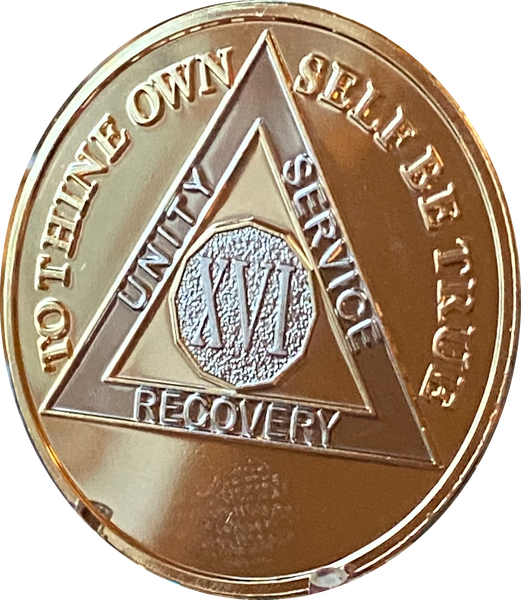 16XL22k_grande.png?v=1759253678