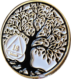 1 2 3 4 5 6 7 8 9 10 11 18 Month AA Medallion Tree Of Life Black White Serenity Prayer Coin