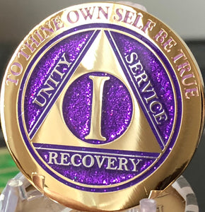 1 Year AA Medallion Elegant Purple Glitter Gold & Silver Plated RecoveryChip Design