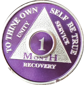 Purple Silver Plated 1 2 3 4 5 6 7 8 9 10 11 18 Month AA Medallion Sobriety Chip - RecoveryChip