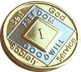 NA Medallion Bi-Plate Gold and Nickel Plated Year 1 - 40 Official Sobriety Chip - RecoveryChip