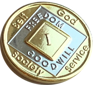 NA Medallion Bi-Plate Gold and Nickel Plated Year 1 - 40 Official Sobriety Chip - RecoveryChip