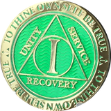 1 Year AA Medallion Plated Full Color Sobriety Chip Fast Shipping