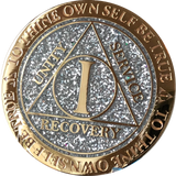 1 Year AA Medallion Plated Full Color Sobriety Chip Fast Shipping